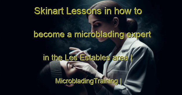 Skinart Lessons in how to become a microblading expert in the Les Estables area | MicrobladingTraining | MicrobladingClasses | SkinartTraining-France